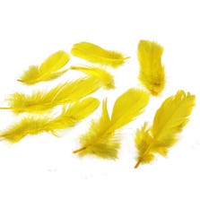 FEATHERS - YELLOW