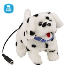 DALMATION SWITCH ADAPTED